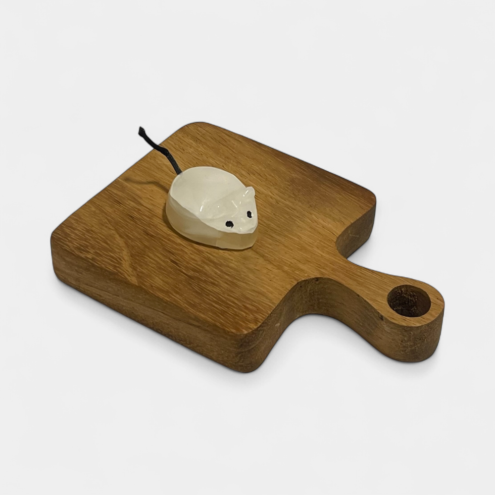 Ratones - Accesorios