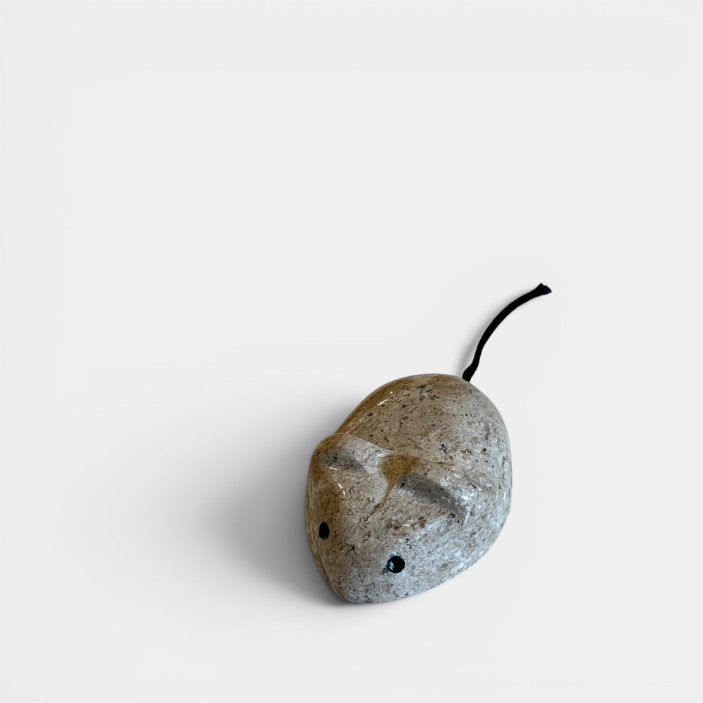 Ratones - Accesorios