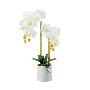 Orquídea Blanca - Flores Artificiales