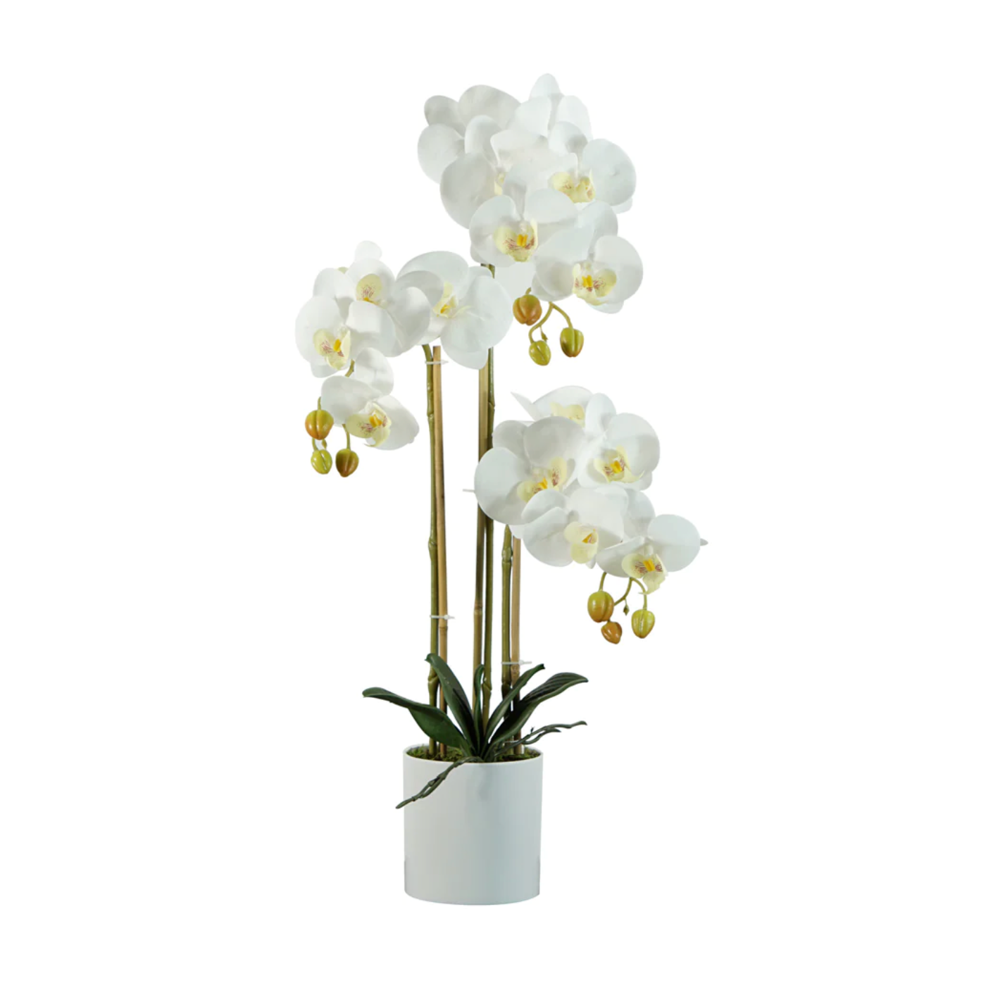 Orquídea Blanca - Flores Artificiales